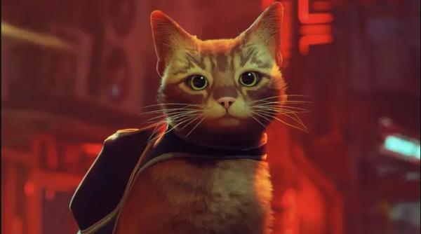 un joc video face furori pe internet esti o pisica fara stapan si traiesti pe strazile unui oras plin de roboti