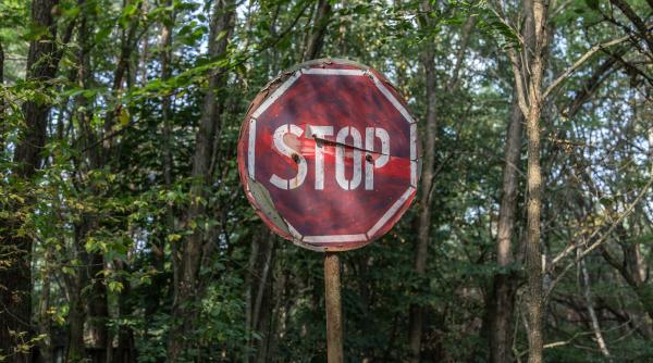 pericol public podul de la parta timis vechi de 70 de ani si aflat intr o stare avansata de degradare este in continuare deschis traficului