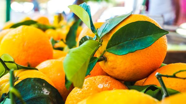 disputa intre africa de sud si uniunea europeana zeci de tone de portocale au fost blocate de ue