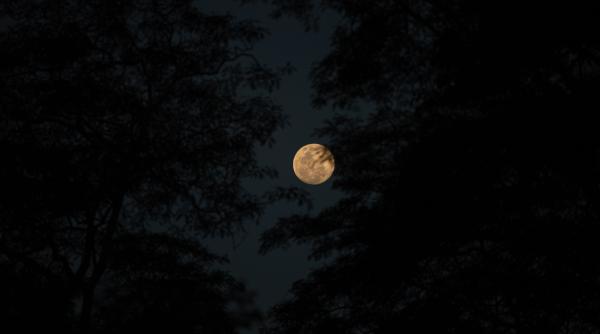 super luna plina sturion 12 august cum influenteaza viata