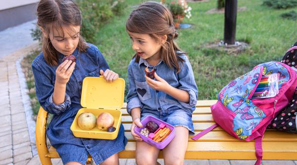 6 63 de lei pe saptamana atat plateste guvernul pentru portia de fructe lapte si corn a unui elev