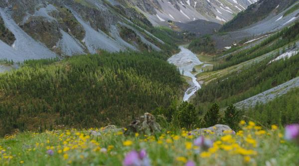 incalzirea globala realitate dura o trecatoare alpina acoperita de 2000 de ani de gheata scoasa la iveala