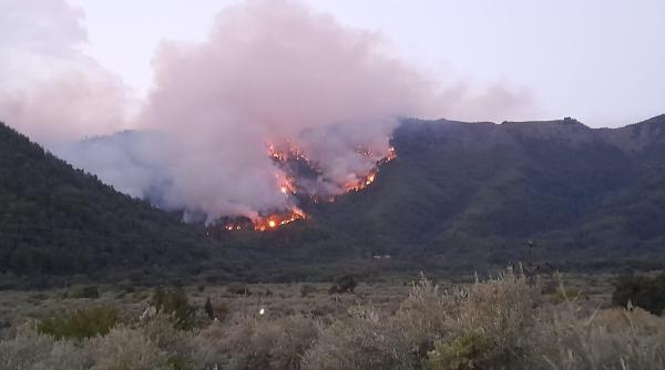 incendii de padure in thassos insula greceasca plina de turisti romani pompierii s au mobilizat turistii indemnati la calm
