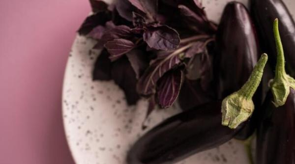 tine vinetele departe de frigider chef joseph hadad are mai multe sfaturi pentru gospodine