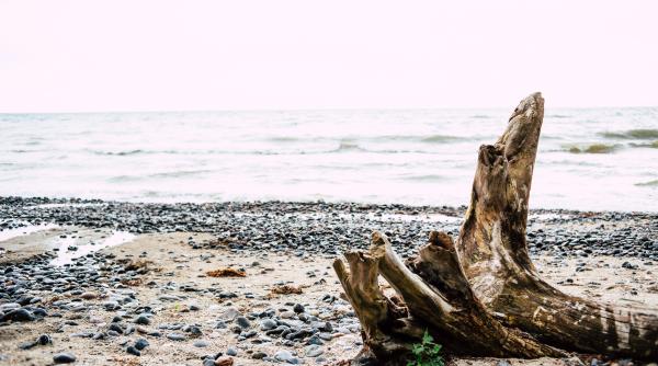 unda de poluare in marea baltica expertii avertizeaza ca pestii ar putea fi afectati