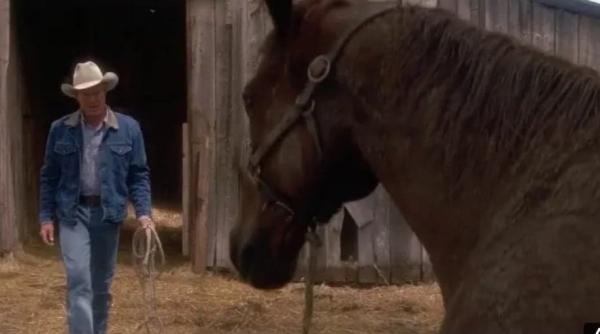 autorul the horse whisperer nicholas evans a murit la 72 de ani