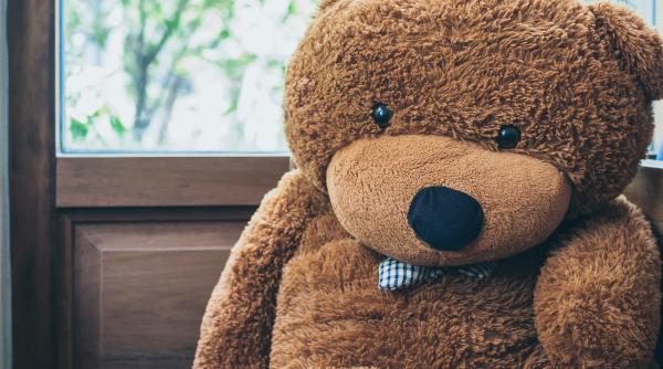 s a ascuns de politie intr un urs de plus ce l a dat de gol jucaria respira