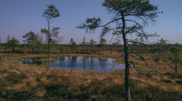 din ce in ce mai multe trupuri umane ies la suprafata in lacul mead secat de caldura infernala din las vegas