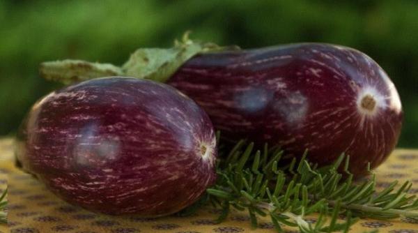 placinta rustica de vinete se face usor repede si nu ai nevoie de cuptor