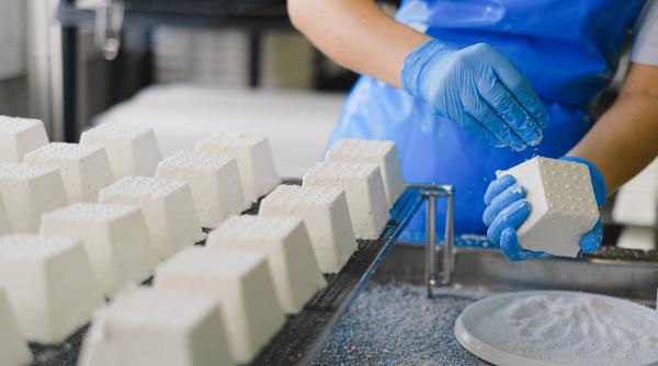 ce sa alegi cand tii dieta ricotta sau mozarella bilic este cea mai dietetica branza perfecta pentru cei aflati la cura de slabire