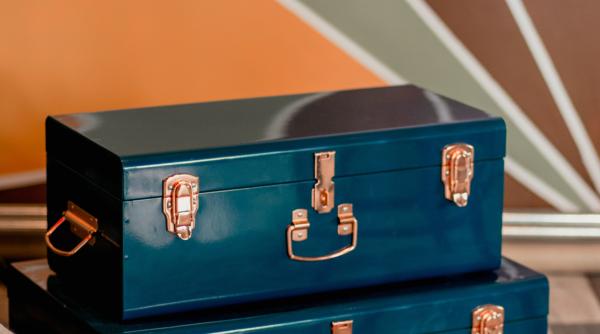 descoperire oribila ramasitele a doi copii descoperite in valize cumparate la licitatie