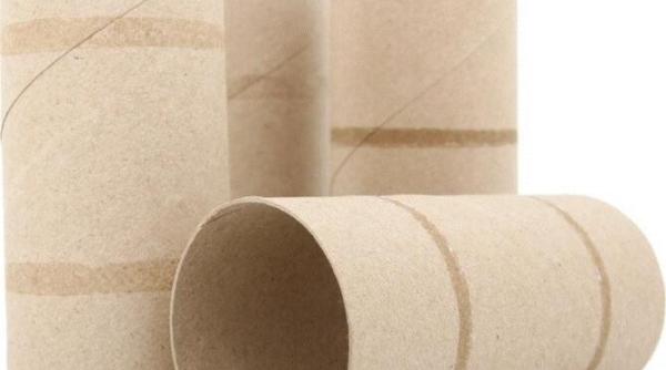 patru moduri uimitoare de reutilizare a rolelor de la hartia igienica distrati va impreuna cu cei mici si creati lucruri originale