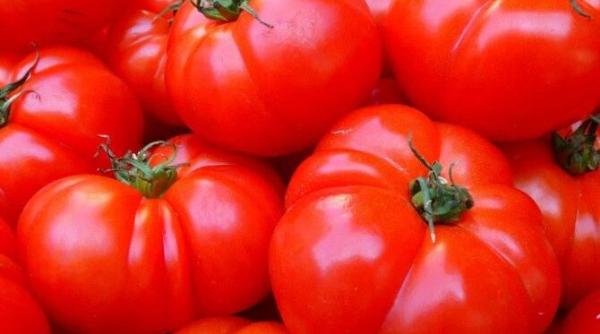 o super cina gata in 5 minute aveti nevoie de oua rosii si branza