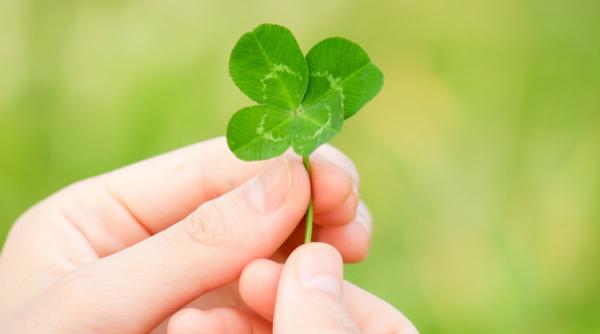 top 3 zodii care au noroc la bani