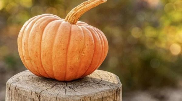 va place dovleacul il puteti congela si consuma iarna ce pasi trebuie sa urmati