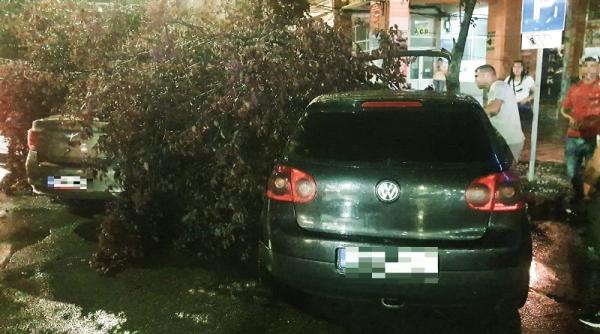 prapad in targoviste dupa ce o vijelie a cuprins orasul masini avariate acoperisuri smulse de vant si copaci rupti foto