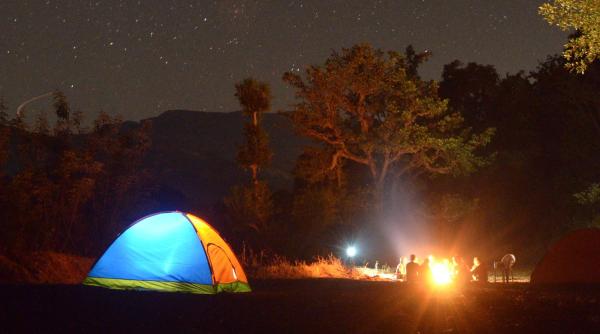 turisti germani campati langa o padure din arges vizitati de urs foto