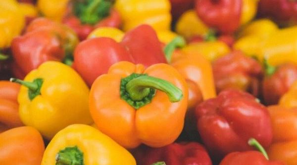 un aperitiv simplu din ardei grasi o reteta usoara dar atat de gustoasa