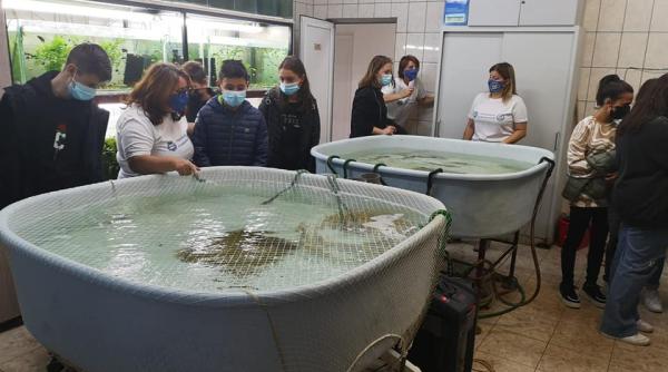 absolventii de liceu nu se mai duc spre inginerie rectorul lucian georgescu arata paradoxul nu mai exista linii de productie foarte mari in romania