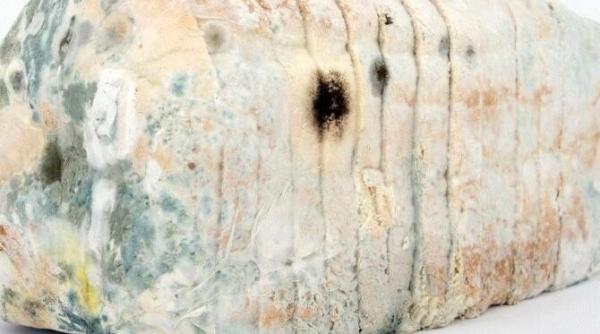 ce poti face cu painea mucegaita doua metode care te ajuta sa economisesti banii