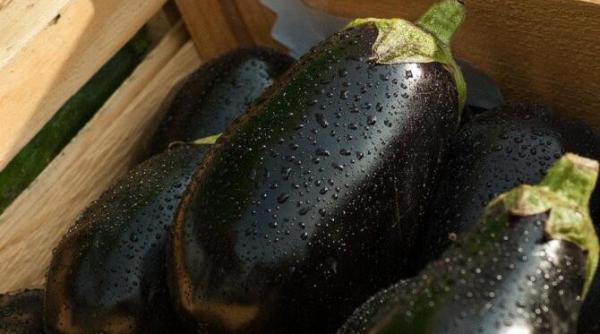 cele mai bune vinete pane sunt gustoase si usoare si au doar 100 de calorii