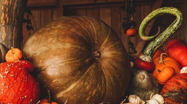 cel mai delicios dovleac umplut reteta pe care trebuie sa o stie toate gospodinele