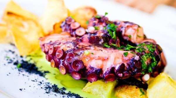 tentacule de calamar la gratar reteta surpriza pentru cei dragi