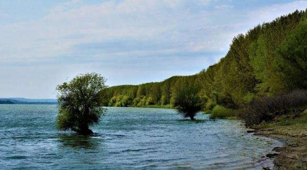 uniunea internationala pentru conservarea naturii a declarat ca disparuta din dunare o specie de sturioni wwf