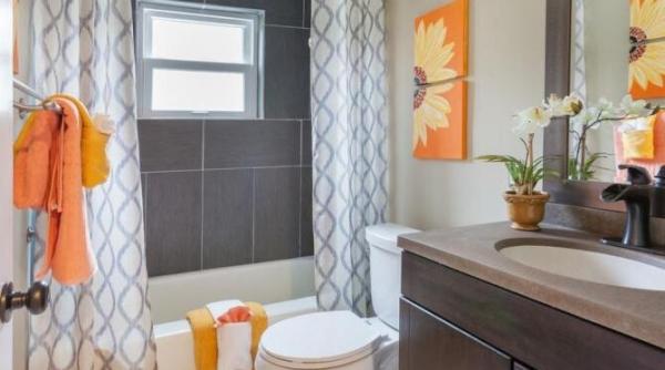 curata perdeaua din baie cu aceasta solutie si nu vei fi nevoit sa cumperi una noua