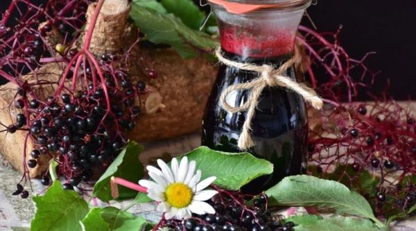 de sezon reteta foarte simpla de vin negru de soc