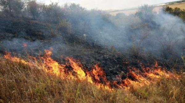 stratul de ozon degradat de incendiile de vegetatie produse in australia in 2019 si 2020 studiu