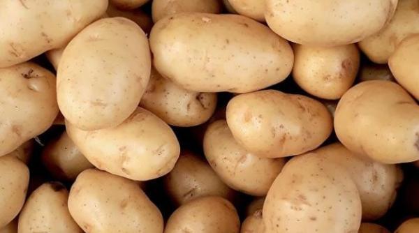 cartofi cu sunca la cuptor reteta cu care iti vei uimi intreaga familie