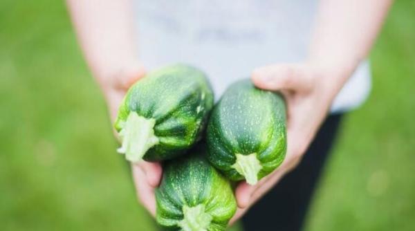 dovlecei cu branza gatiti in cuptorul cu microunde sunt cu adevarat savurosi