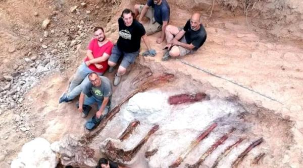 a fost dezgropat cel mai mare dinozaur din europa are 25 de metri lungime