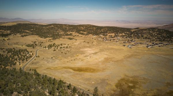 bani in pnrr pentru impadurire gabriela bancila anm ministrul mediului s a implicat in a identifica zonele afectate