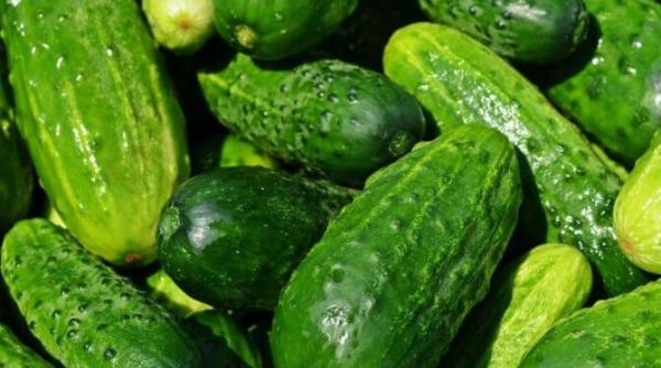 congeleaza castraveti proaspeti pentru iarna gustul aroma si textura lor vor innobila orice salata