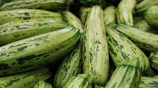 dovlecei picanti pentru iarna au un gust delicios de ciuperci si dispar rapid de pe masa