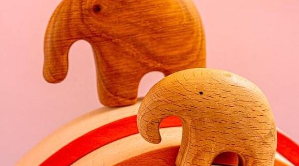 aceste obiecte atrag saracia in casa arunca le imediat daca vrei sa ai bani in buzunare