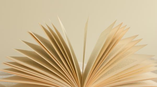 ziua limbii romane ne defineste ca natiune ministrul culturii lucian romascanu e nevoie de o lege a limbii romane vocabularul vorbit se micsoreaza