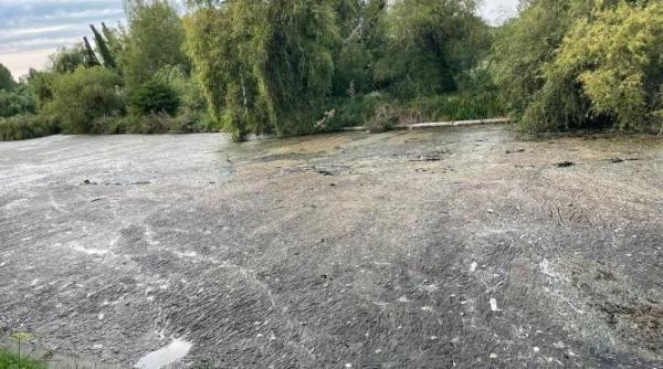 situatie deplorabila intr un mare parc din bucuresti lacul tineretului partial secat mizerabil si cu miros ingrozitor video foto