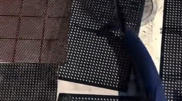 momentul in care un rechin urias sare in barca unor oameni este vorba despre mako bestia care ucis o pe roxana in egipt video