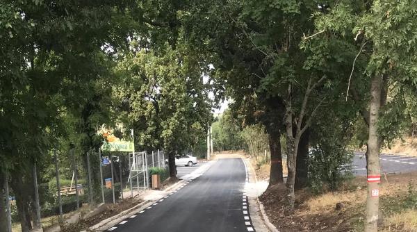 padurea garboavele din galati invitatie la promenada