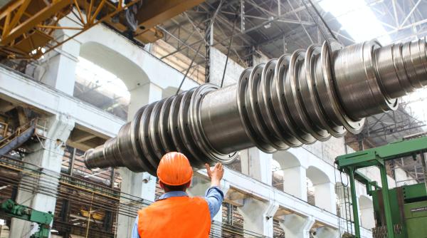 un roman printre reprezentantii aiea prezenti la centrala nucleara zaporojie