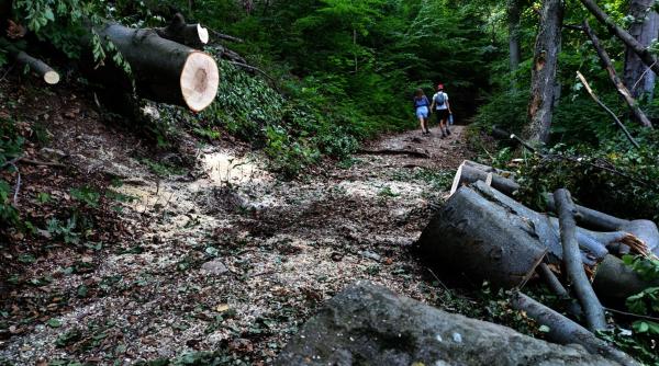 salvamontistii despre cei care merg in papuci pe munte noi intervenim cu aceleasi resurse si la glezne scrantite si la coloana fracturata omul nu intelege cazuri care nu ar trebui sa fie