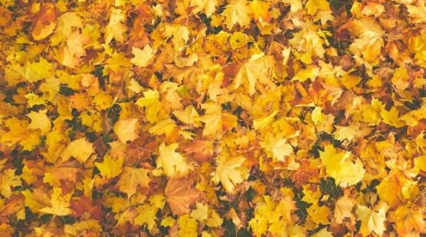 anm anunta vreme placuta si temperaturi in mediile perioadei in urmatoarele doua saptamani cand apar ploile