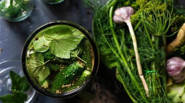 castraveti murati crocanti si deliciosi ce puneau bunicile in borcane pentru savoarea logumelor