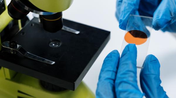 china colecteaza mostre de adn din tot tibetul ingrijorari privind respectarea drepturilor omului