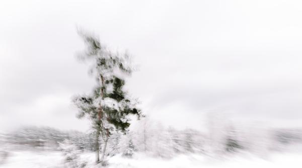 cand totul dispare in lumina ce este furtuna alba fenomenul optico meteorologic care pare de neinteles