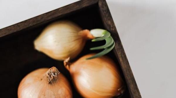 depozitati corect ceapa in apartament sfaturi utile pentru gospodine