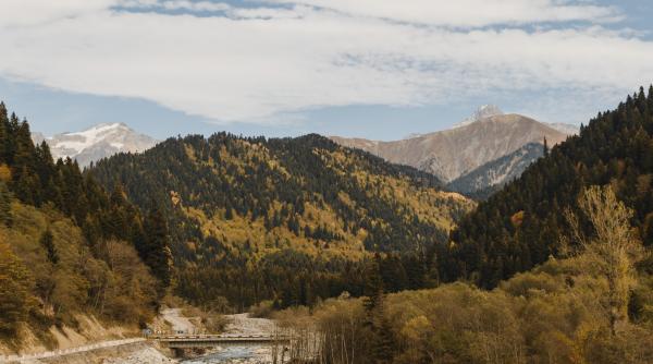 un pod s a prabusit exact in momentul inaugurarii filmarea a devenit virala
